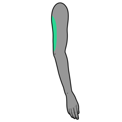 Image for choice number 5
