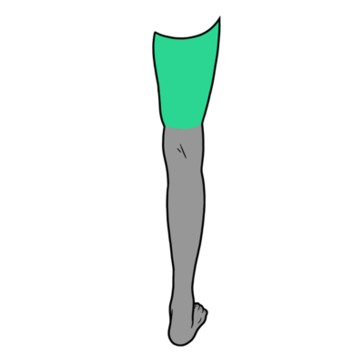 Image for choice number 5
