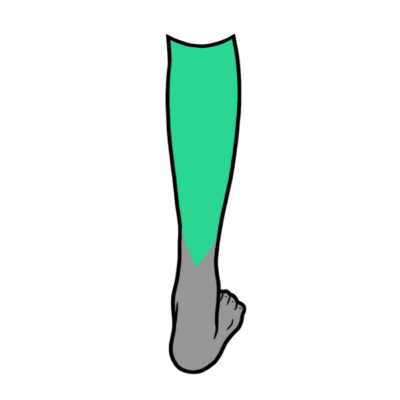 Image for choice number 8