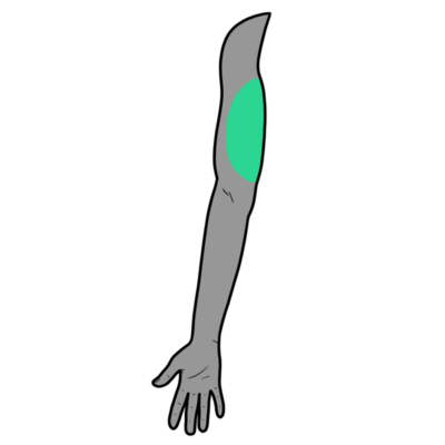 Image for choice number 4