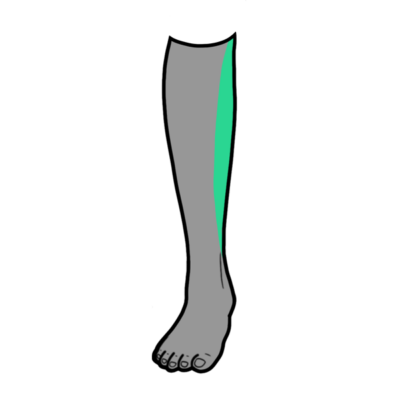 Image for choice number 9