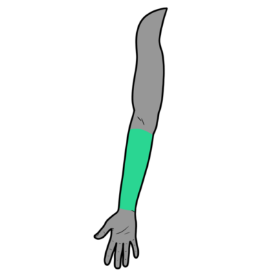 Image for choice number 8