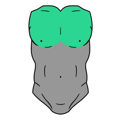 Image for choice number 2