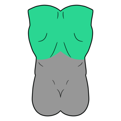 Image for choice number 2