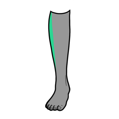 Image for choice number 10
