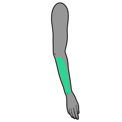 Image for choice number 9