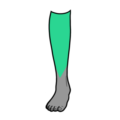 Image for choice number 11