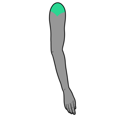 Image for choice number 2